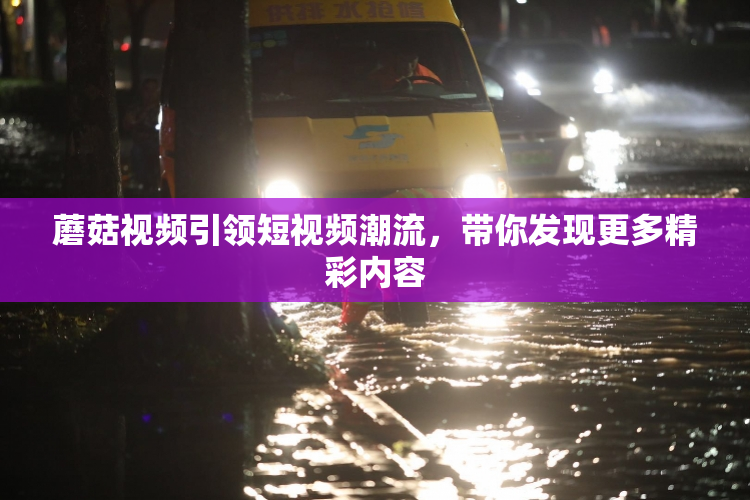 蘑菇视频引领短视频潮流，带你发现更多精彩内容