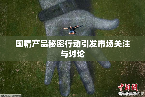 国精产品秘密行动引发市场关注与讨论