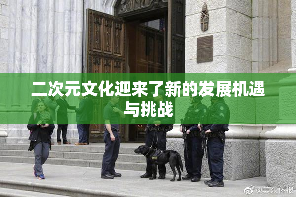 二次元文化迎来了新的发展机遇与挑战