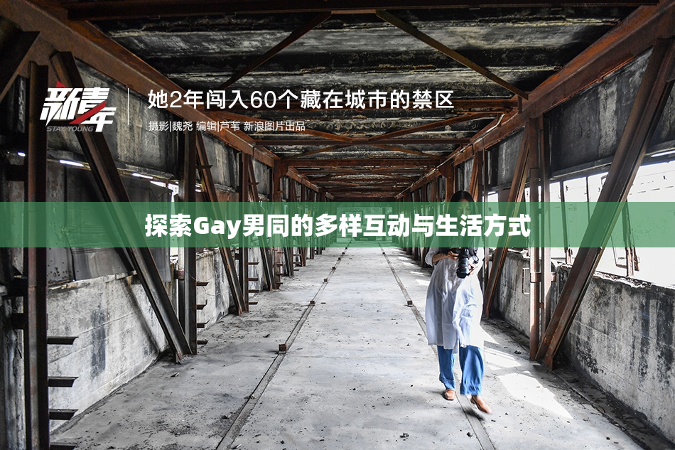 探索Gay男同的多样互动与生活方式