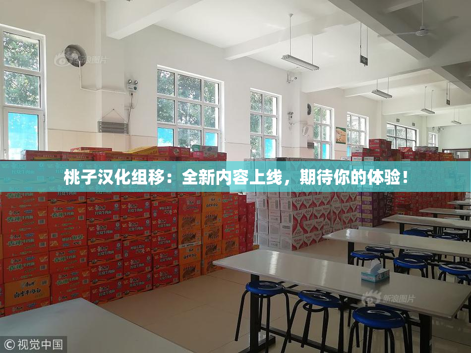 桃子汉化组移：全新内容上线，期待你的体验！