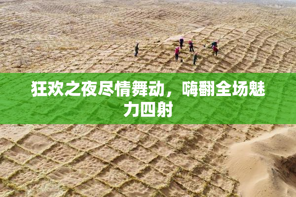 狂欢之夜尽情舞动，嗨翻全场魅力四射