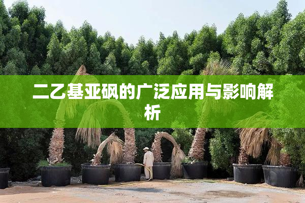 二乙基亚砜的广泛应用与影响解析
