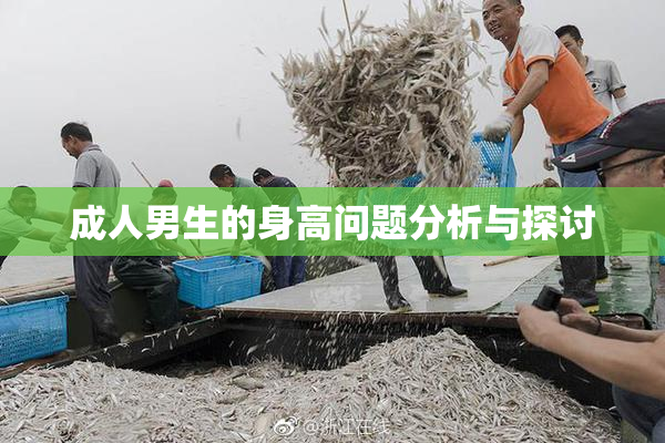 成人男生的身高问题分析与探讨