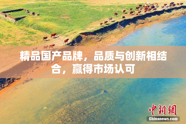 精品国产品牌，品质与创新相结合，赢得市场认可
