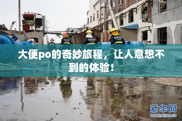 大便po的奇妙旅程，让人意想不到的体验！