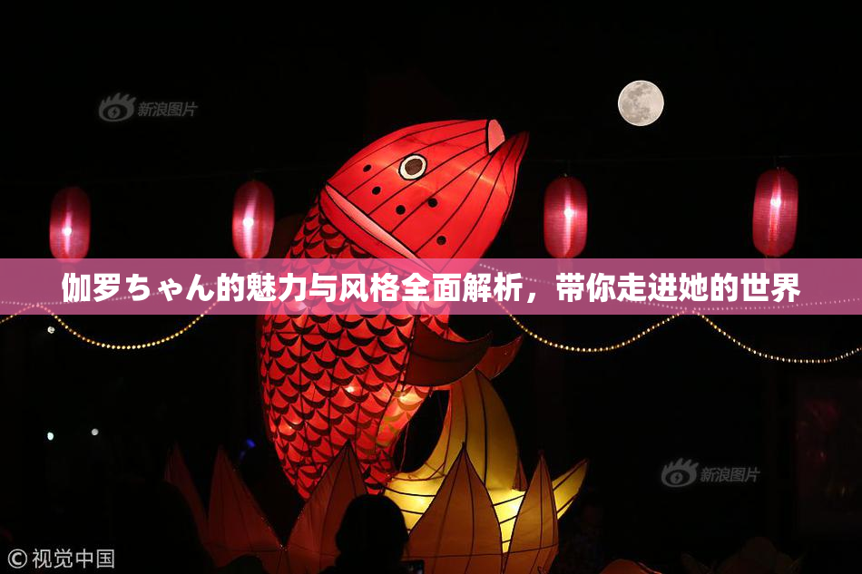 伽罗ちゃん的魅力与风格全面解析，带你走进她的世界
