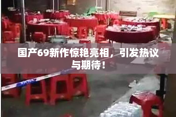 国产69新作惊艳亮相，引发热议与期待！