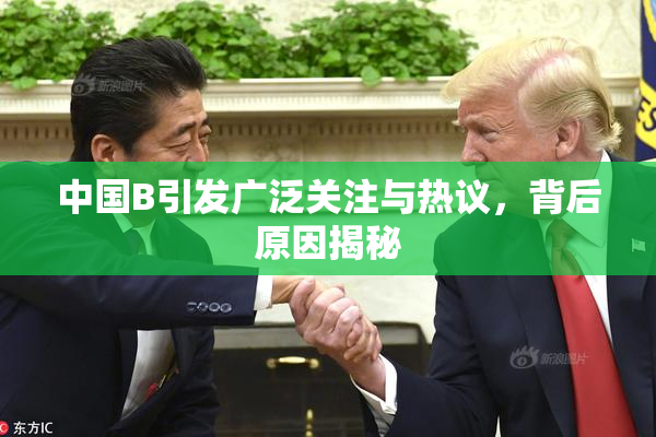中国B引发广泛关注与热议，背后原因揭秘