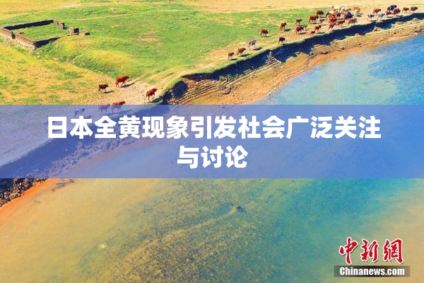 日本全黄现象引发社会广泛关注与讨论