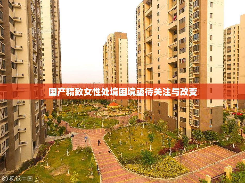 国产精致女性处境困境亟待关注与改变