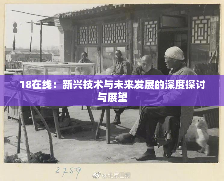 18在线：新兴技术与未来发展的深度探讨与展望