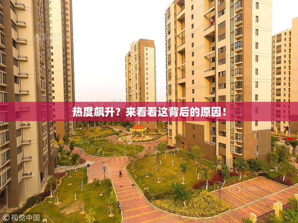 热度飙升？来看看这背后的原因！