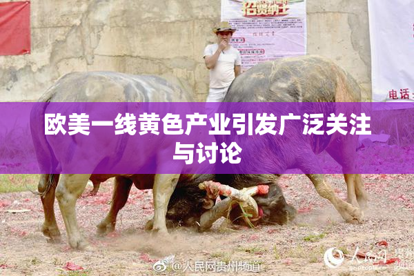 欧美一线黄色产业引发广泛关注与讨论