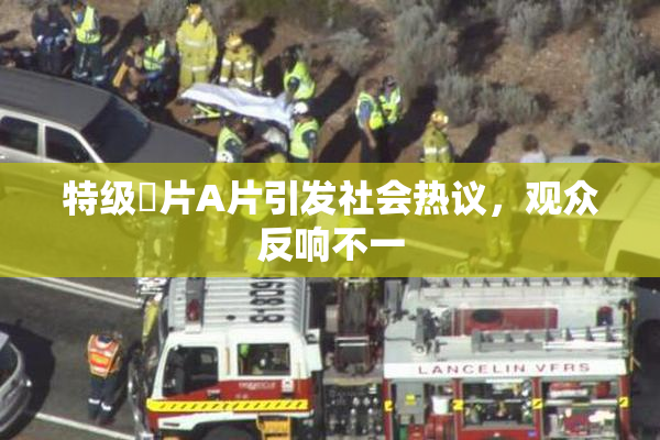 特级婬片A片引发社会热议，观众反响不一