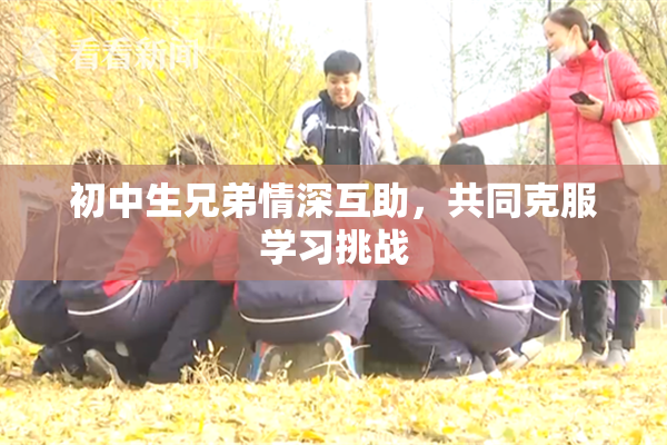 初中生兄弟情深互助，共同克服学习挑战