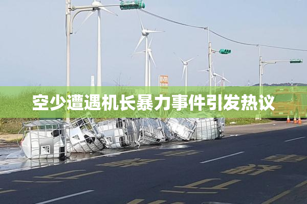 空少遭遇机长暴力事件引发热议