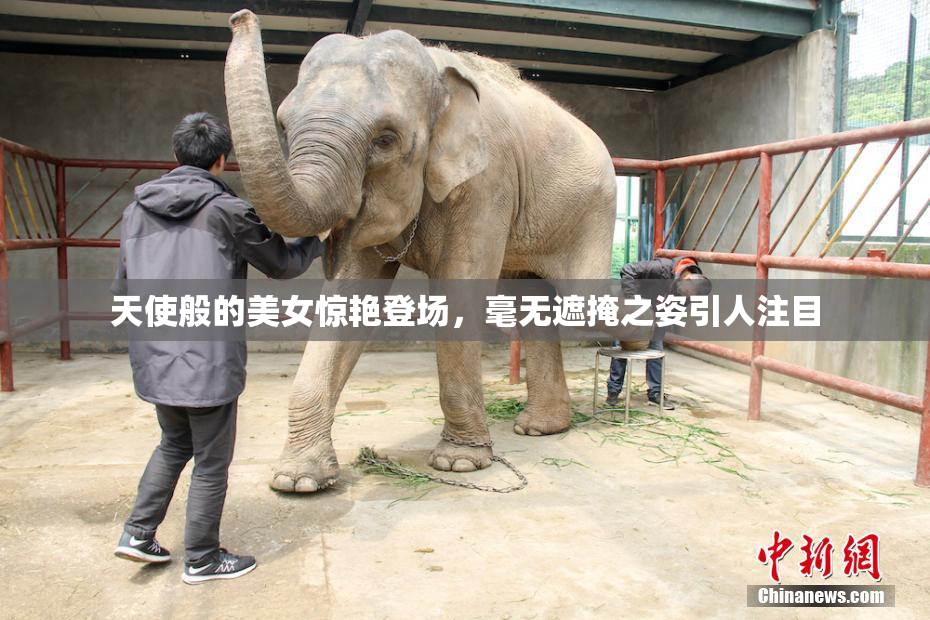 天使般的美女惊艳登场，毫无遮掩之姿引人注目