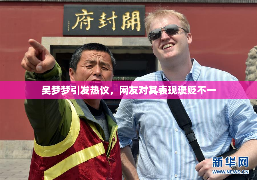 吴梦梦引发热议，网友对其表现褒贬不一