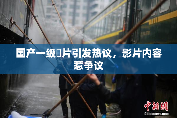 国产一级婬片引发热议，影片内容惹争议