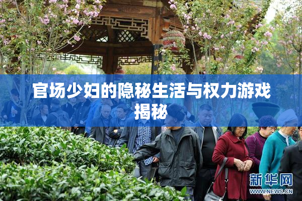 官场少妇的隐秘生活与权力游戏揭秘