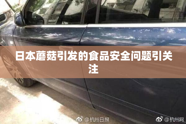 日本蘑菇引发的食品安全问题引关注