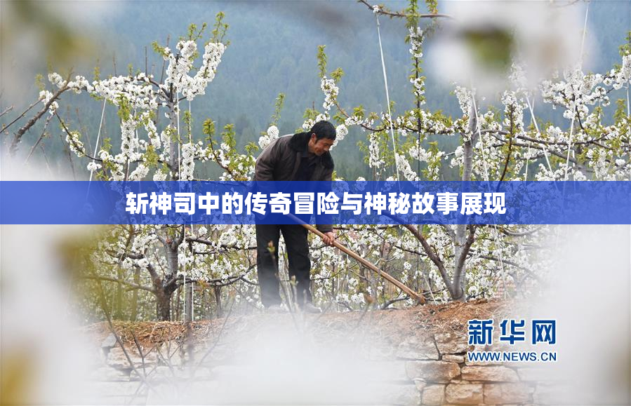 斩神司中的传奇冒险与神秘故事展现