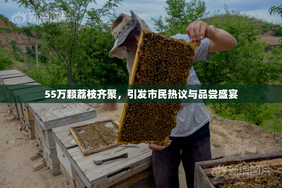 55万颗荔枝齐聚，引发市民热议与品尝盛宴