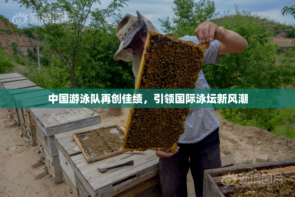 中国游泳队再创佳绩，引领国际泳坛新风潮