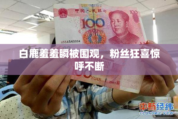白鹿羞羞瞬被围观，粉丝狂喜惊呼不断