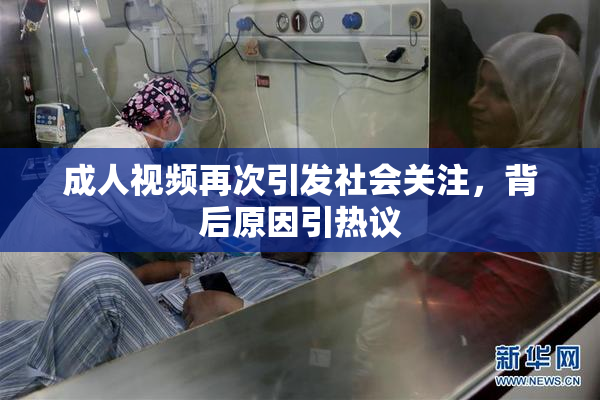 成人视频再次引发社会关注，背后原因引热议