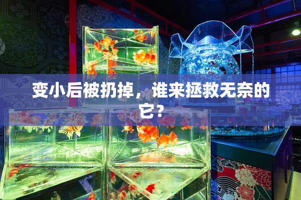 变小后被扔掉，谁来拯救无奈的它？