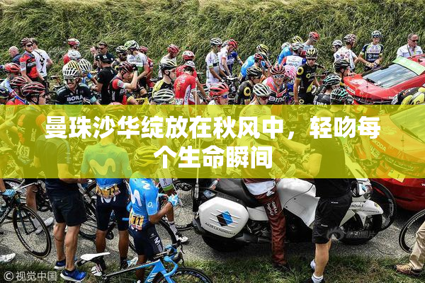 曼珠沙华绽放在秋风中，轻吻每个生命瞬间