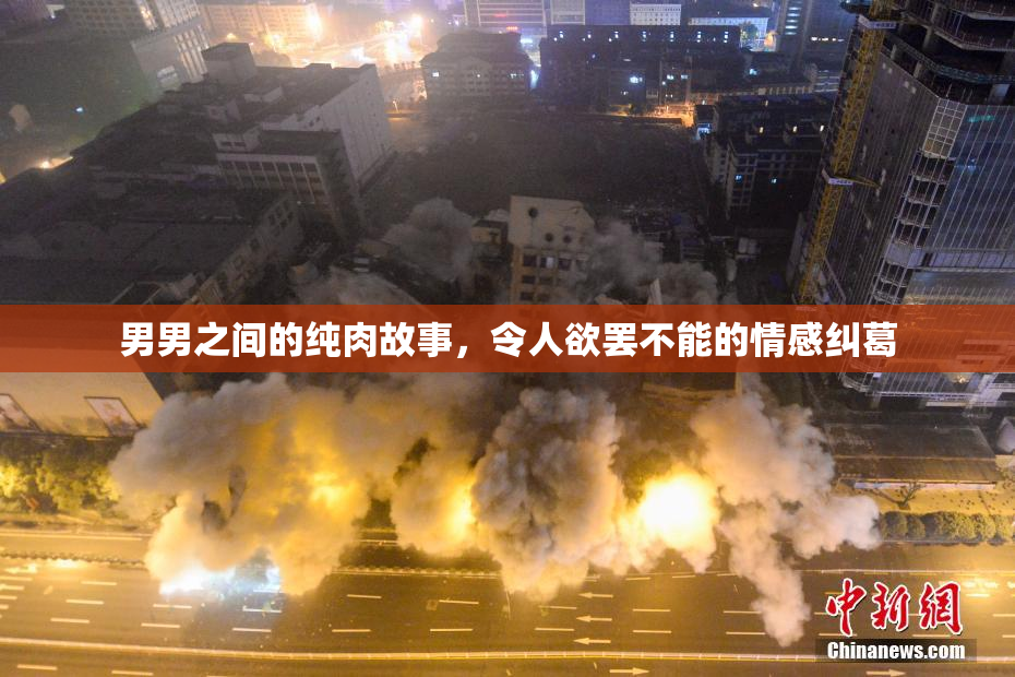 男男之间的纯肉故事，令人欲罢不能的情感纠葛