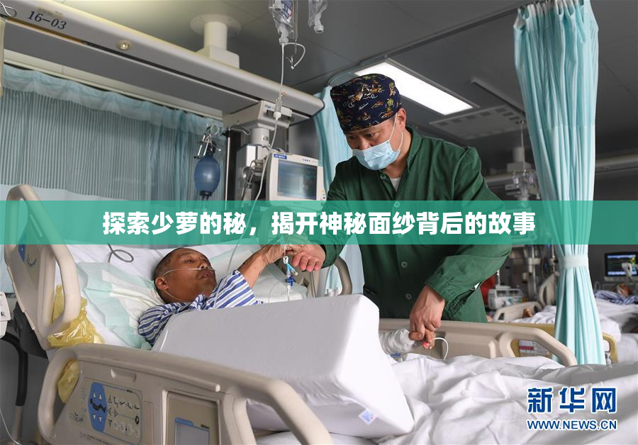 探索少萝的秘，揭开神秘面纱背后的故事