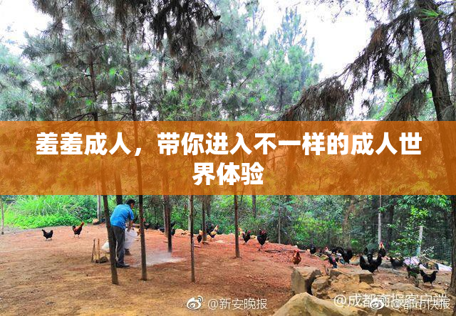 羞羞成人，带你进入不一样的成人世界体验