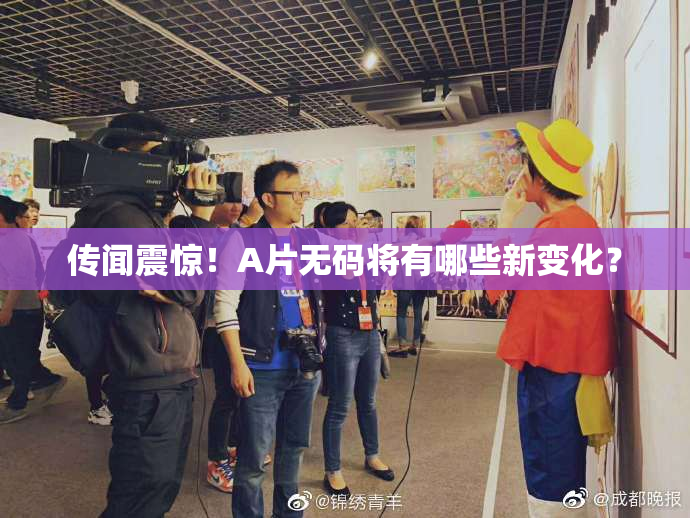 传闻震惊！A片无码将有哪些新变化？