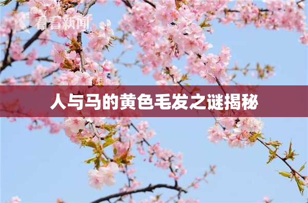 人与马的黄色毛发之谜揭秘
