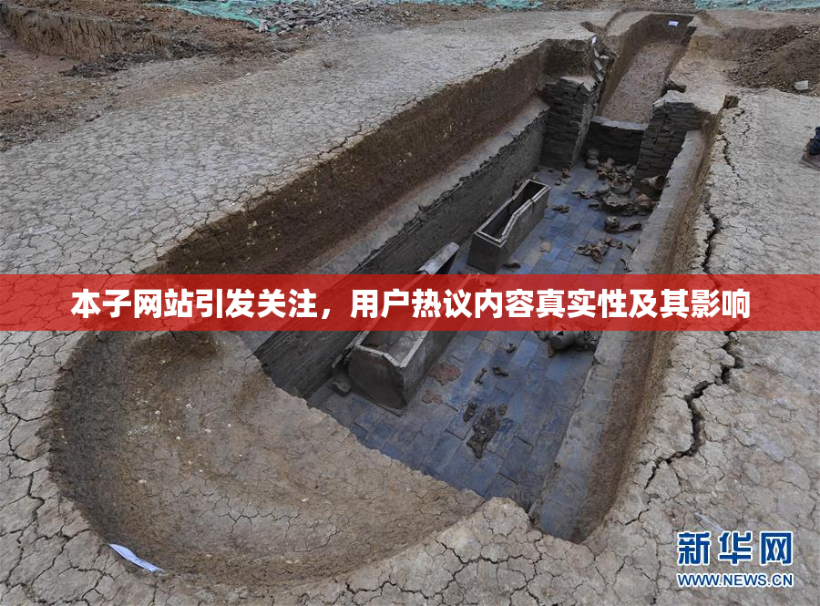 本子网站引发关注，用户热议内容真实性及其影响