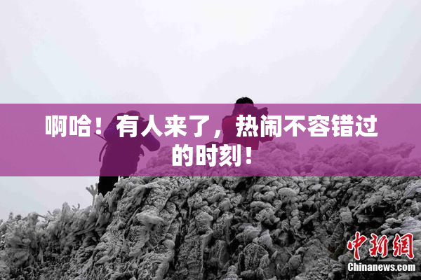啊哈！有人来了，热闹不容错过的时刻！