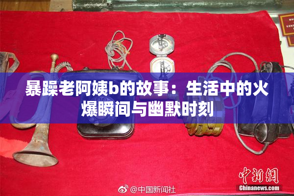 暴躁老阿姨b的故事：生活中的火爆瞬间与幽默时刻