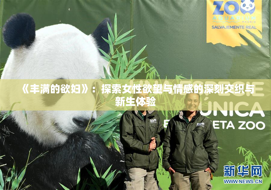 《丰满的欲妇》：探索女性欲望与情感的深刻交织与新生体验