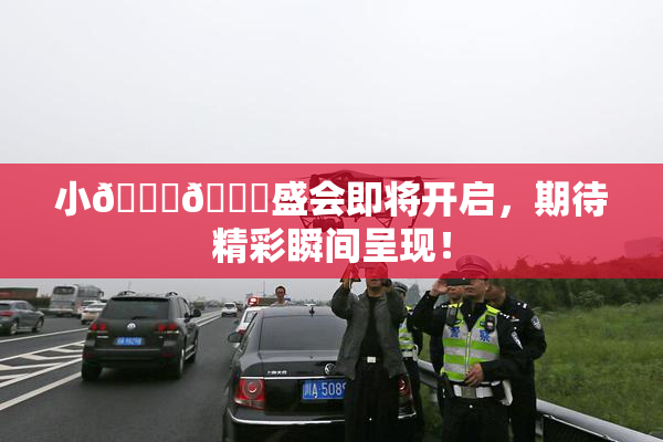 小🐔🐔盛会即将开启，期待精彩瞬间呈现！