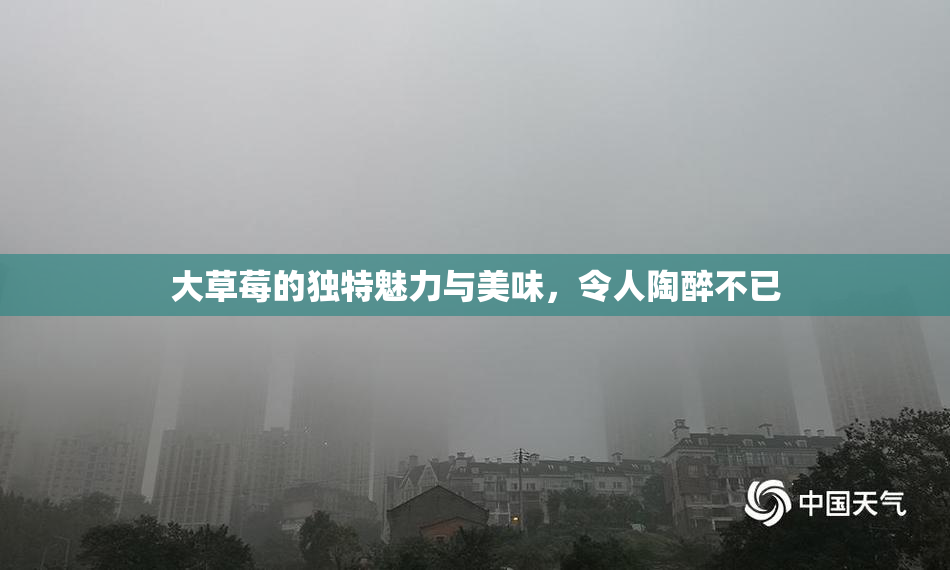 大草莓的独特魅力与美味，令人陶醉不已