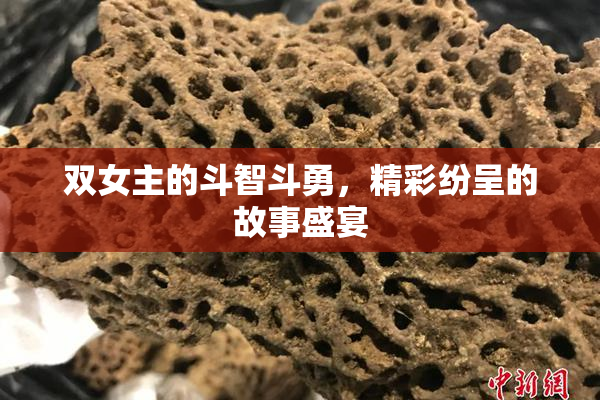双女主的斗智斗勇，精彩纷呈的故事盛宴
