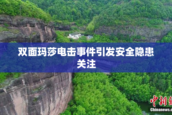 双面玛莎电击事件引发安全隐患关注