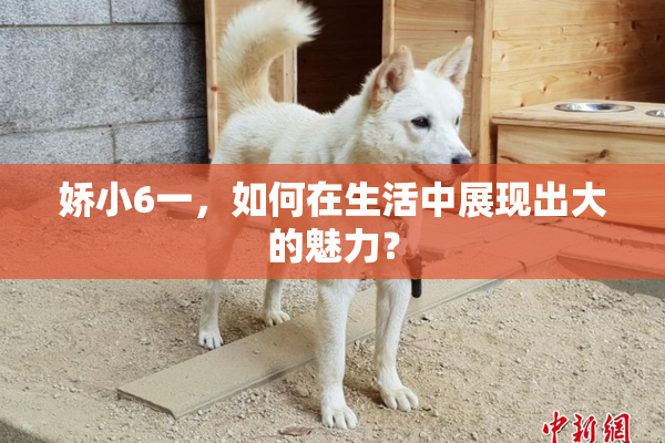 娇小6一，如何在生活中展现出大的魅力？