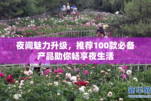 夜间魅力升级，推荐100款必备产品助你畅享夜生活