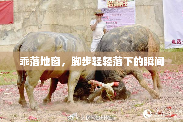 乖落地窗，脚步轻轻落下的瞬间