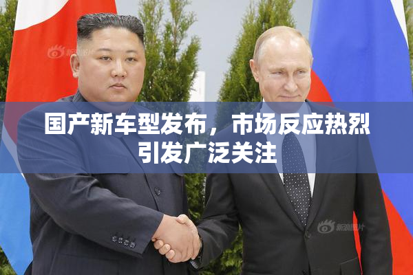 国产新车型发布，市场反应热烈引发广泛关注